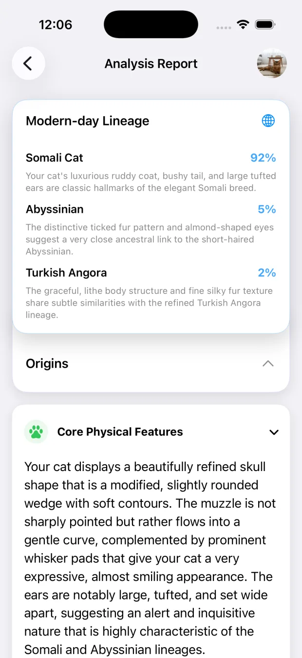 PetDNA app showing likely cat breed matches and a detailed physical features report