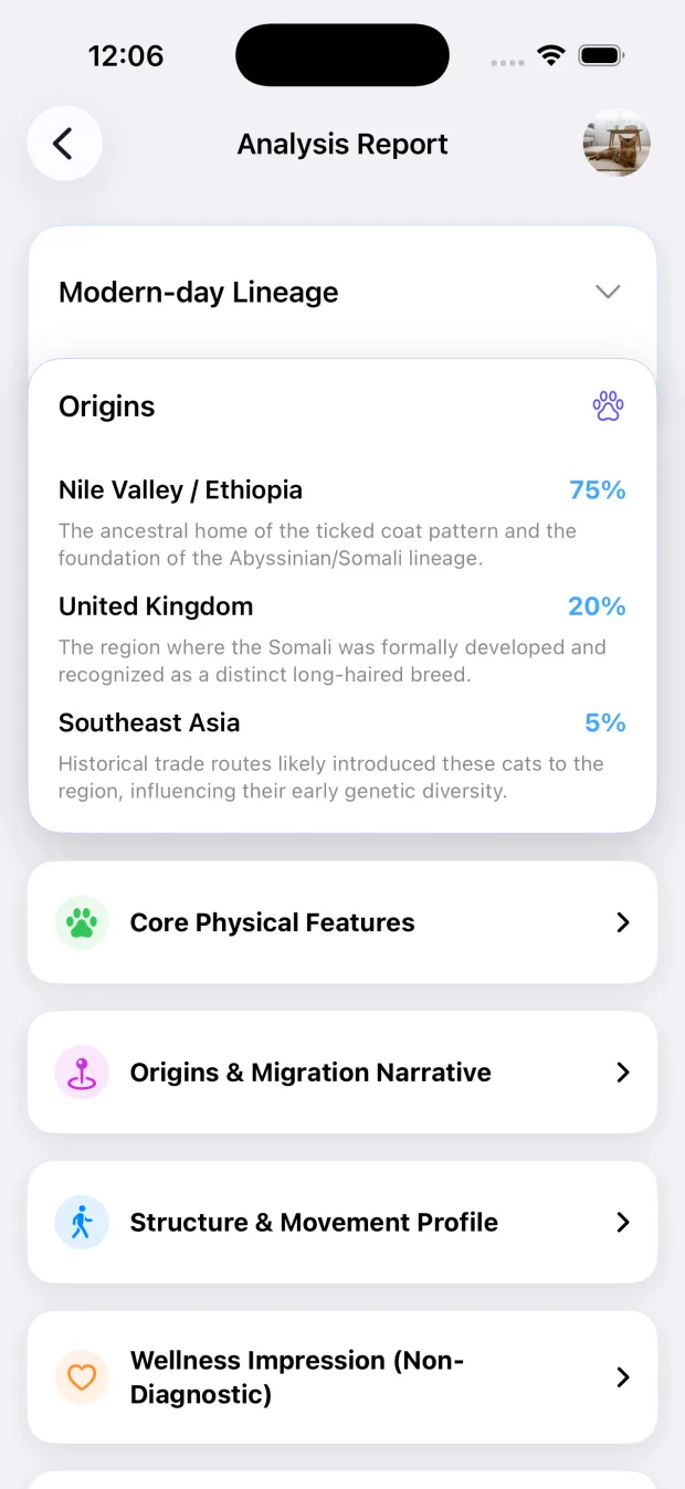 PetDNA app showing report sections including origins, movement, wellness, temperament, and unique identifiers